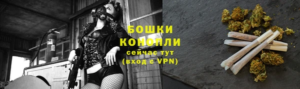 ПСИЛОЦИБИНОВЫЕ ГРИБЫ Бронницы