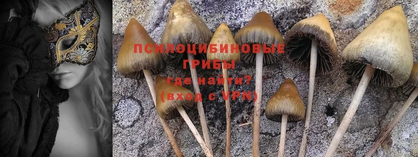 ПСИЛОЦИБИНОВЫЕ ГРИБЫ Бронницы