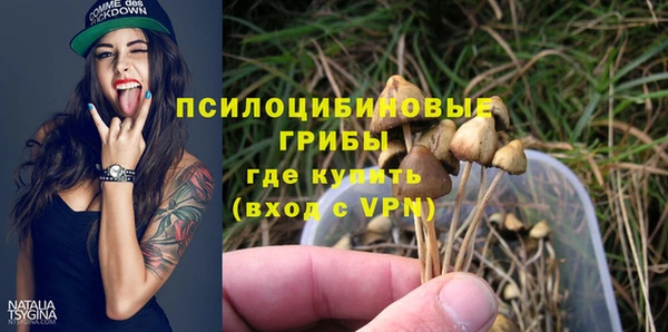 экстази Бородино