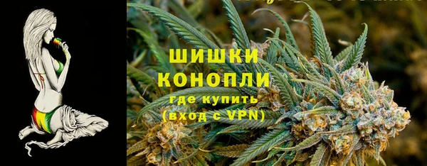 экстази Бородино