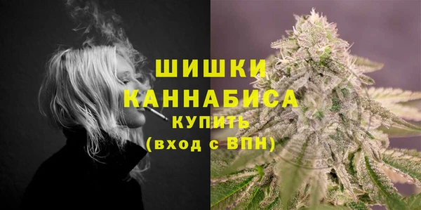 дживик Верея