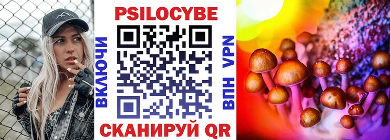 мега ТОР  Яранск  Псилоцибиновые грибы Psilocybe  купить  сайты 