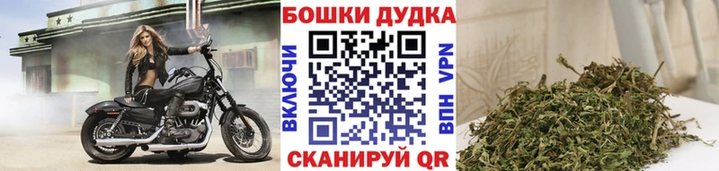 как найти наркотики  Яранск  Каннабис тримм 